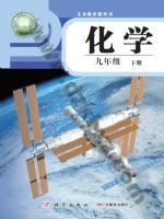 仁爱版科普版九年级化学下册