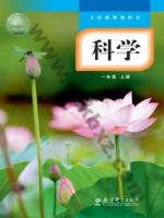 教科版一年级科学上册