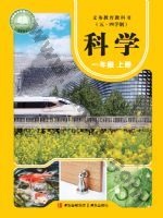 青岛版一年级科学上册